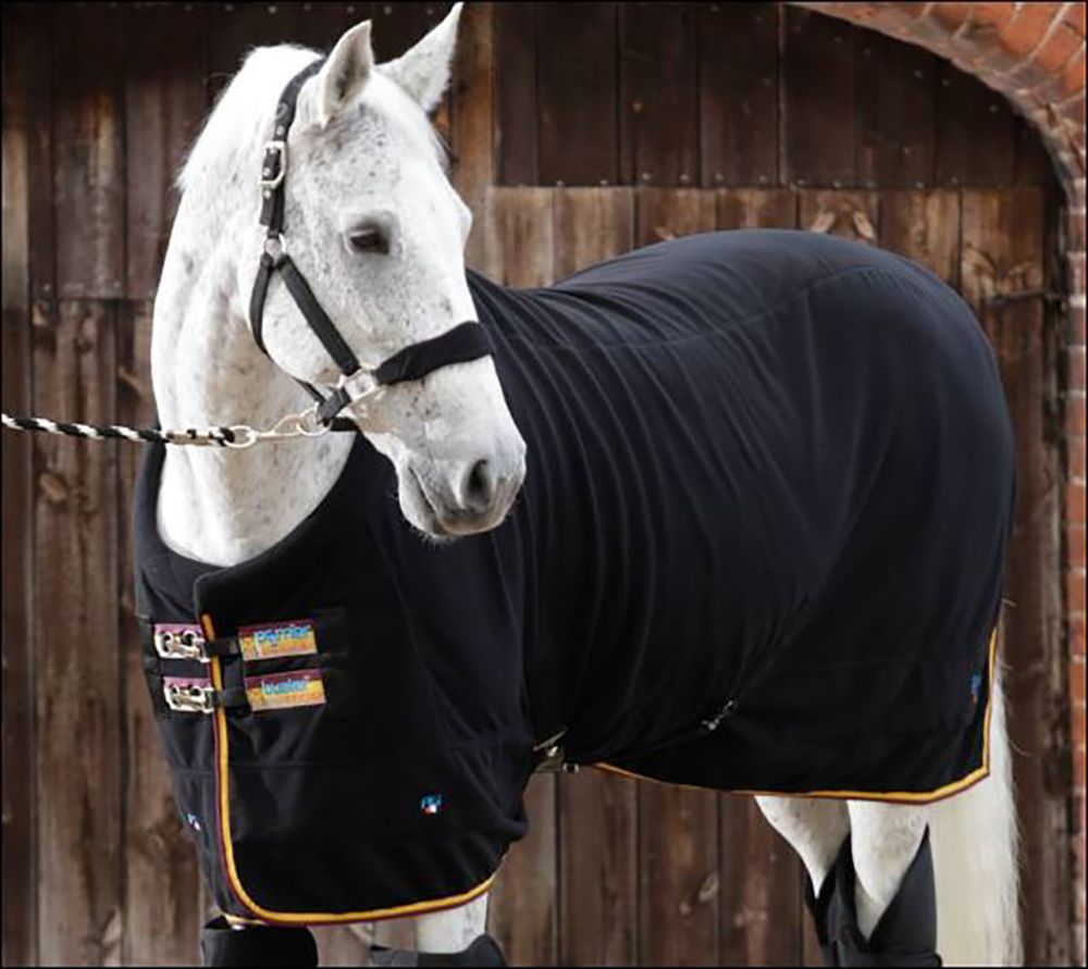 To Raggy Horse Equestrian, the Equestrian Embroidery Specialists