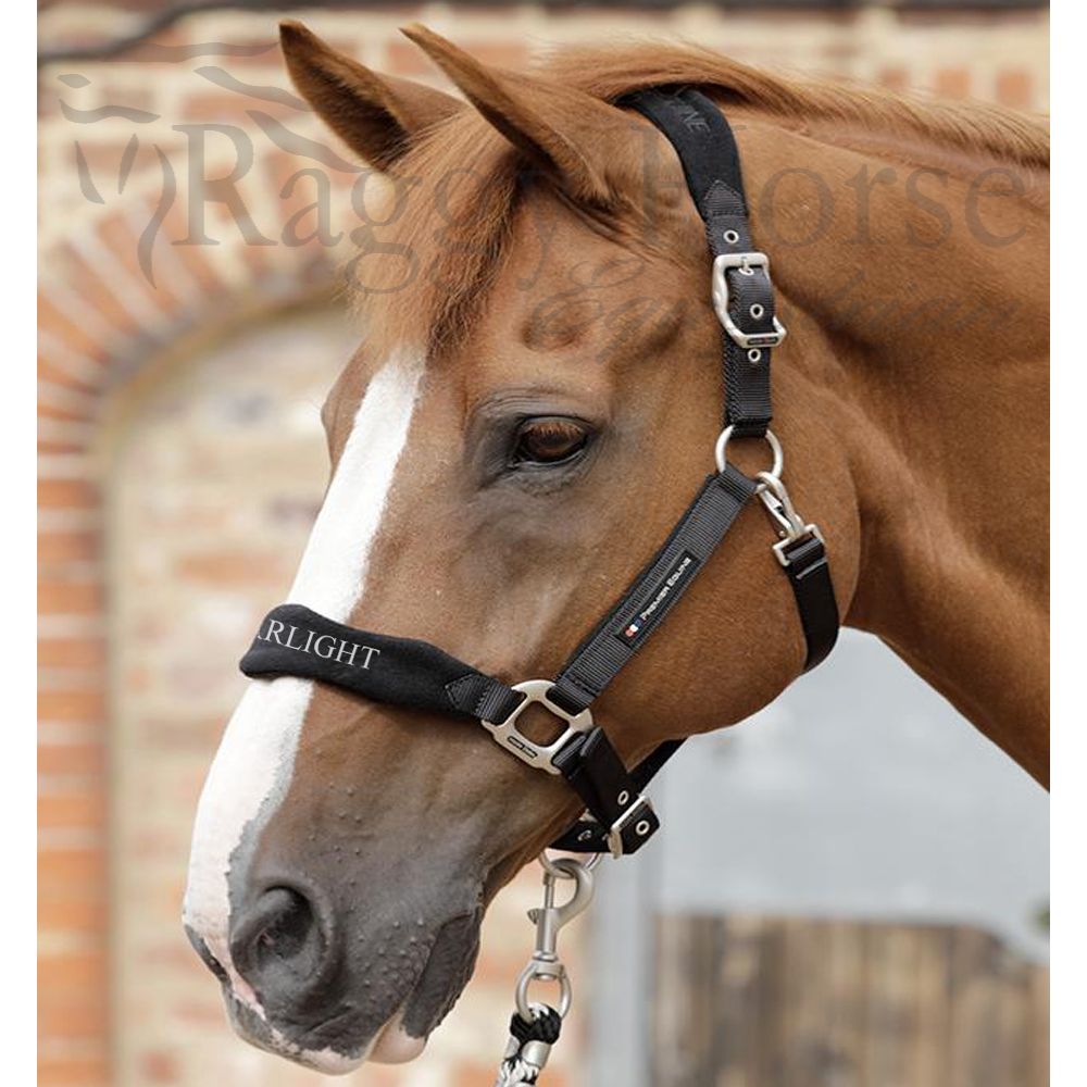 Personalised Embroidered Padded Headcollar with Heart Motifs All Sizes 
