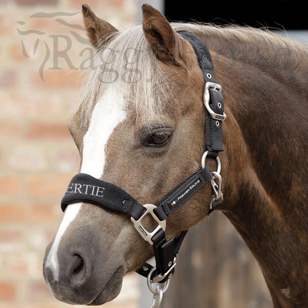 Premier Equine Personalised Pony Head Collar.  3 colours