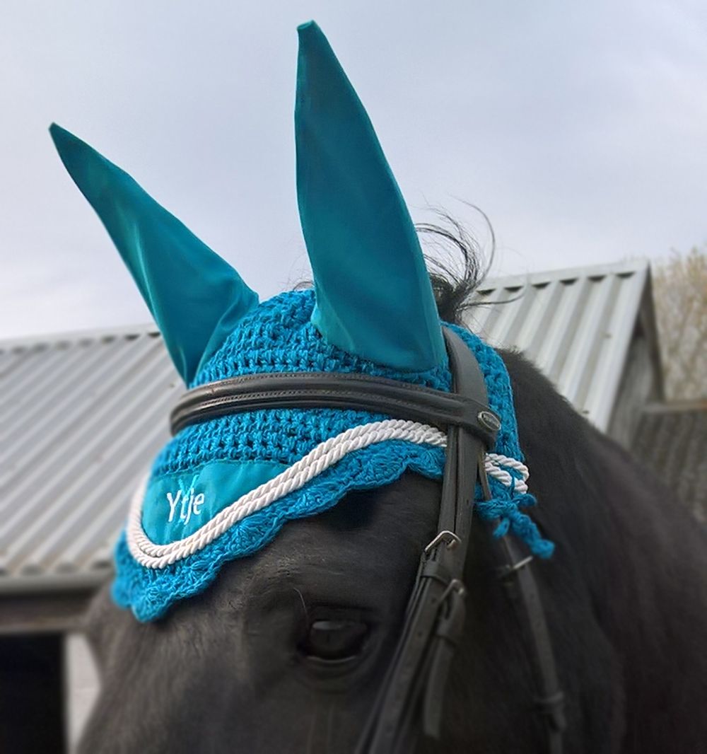 To Raggy Horse Equestrian, the Equestrian Embroidery Specialists