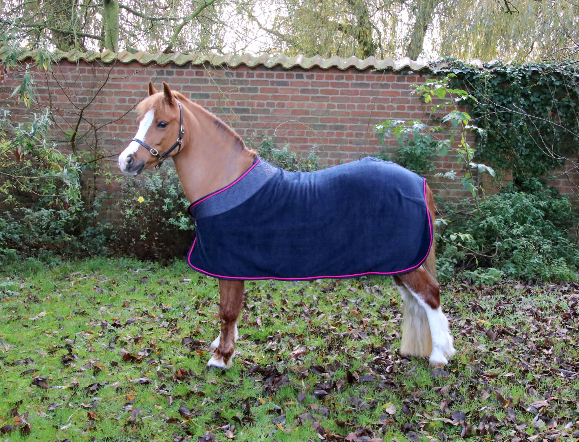 Hy Equestrian 'Rosie' Fleece Pony Rug