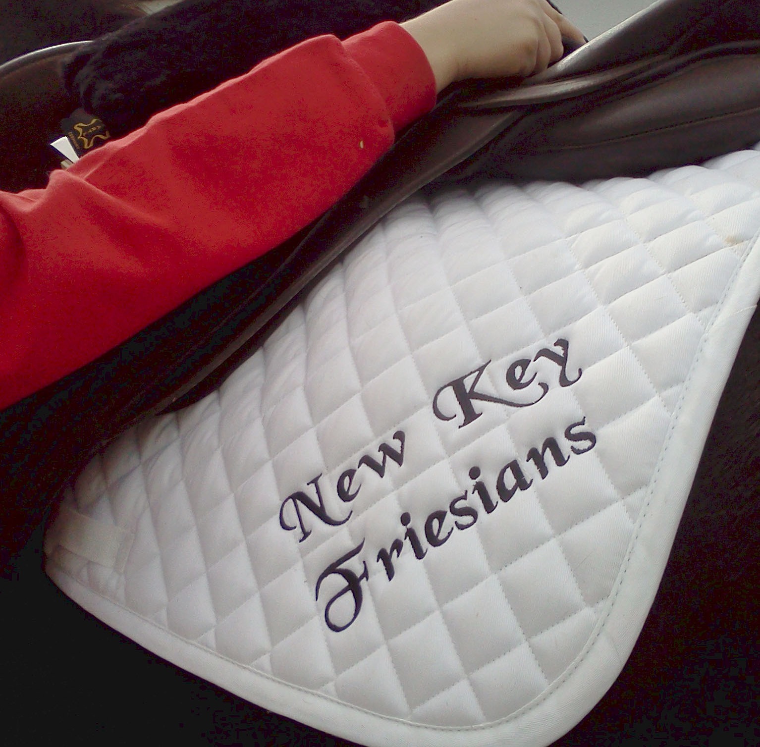 Personalised Saddle Cloths