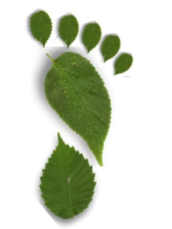 green footprint made from leaves