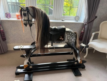 Stevenson Large Dapple Black Stand purchased 2026 not ridden special 2015 Ed.