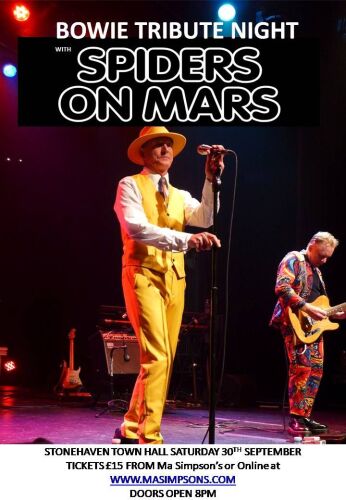 4. BOWIE TRIBUTE by SPIDERS ON MARS Saturday 30th September