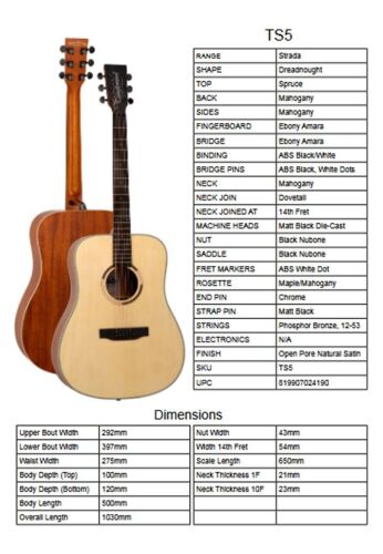 Tanglewood TS5 Western Style Acoustic guitar