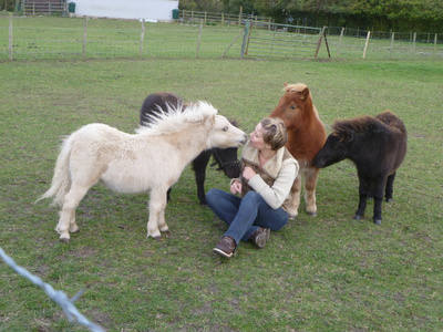 Some of 2011s foals