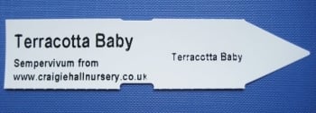 label example