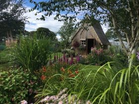 Beeches Cottage Nursery