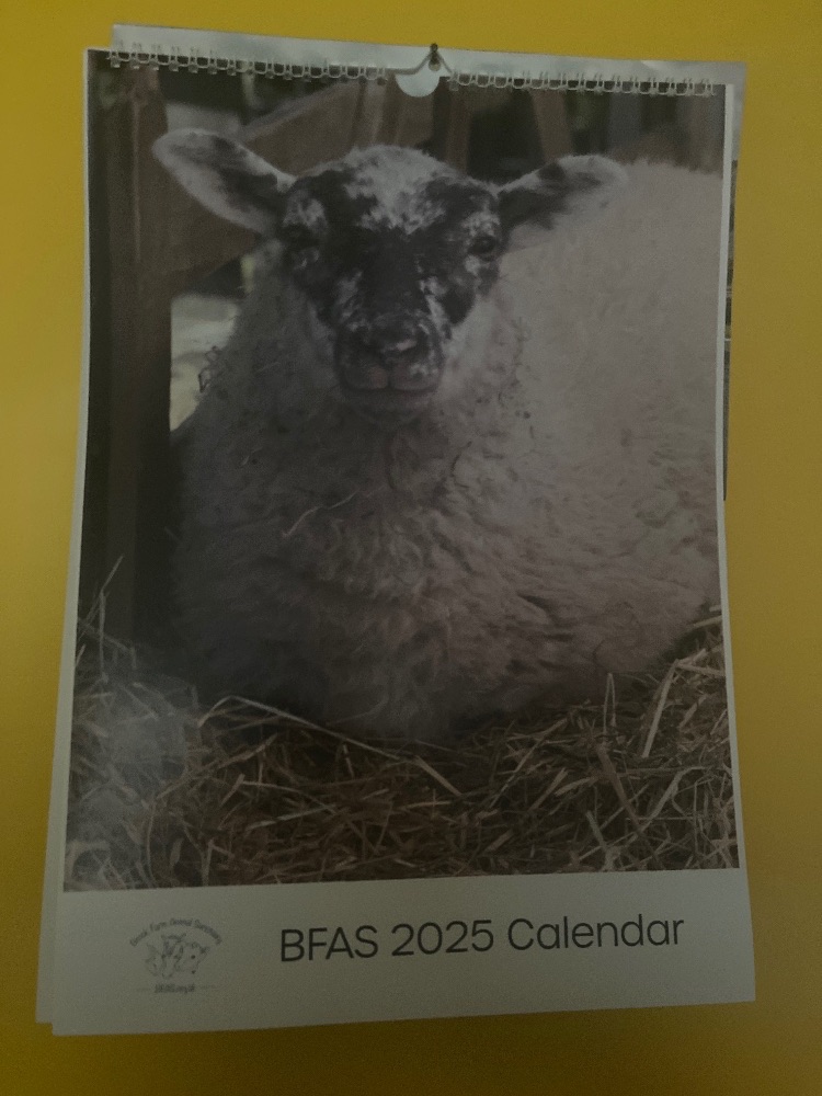 2025 Calendar