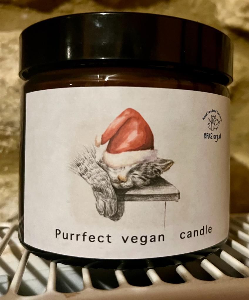 Christmas candles Purrfect cat candle
