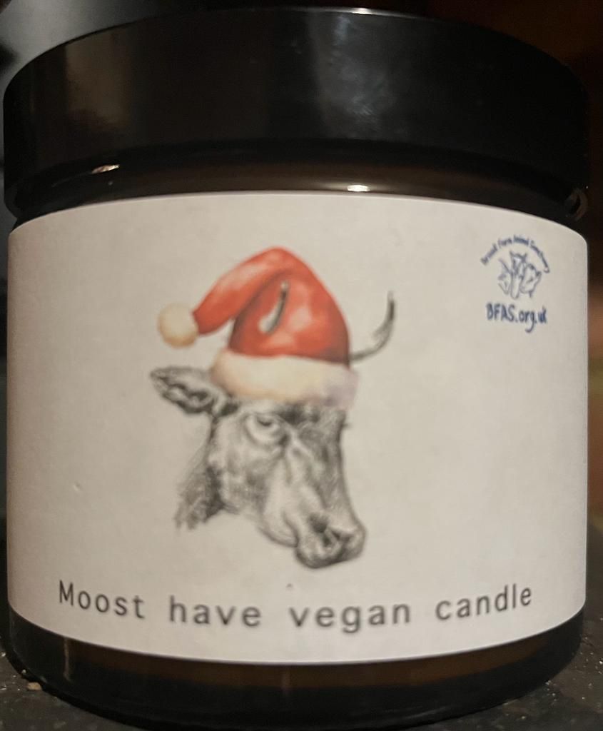 Moost Have cruelty free christmas candle