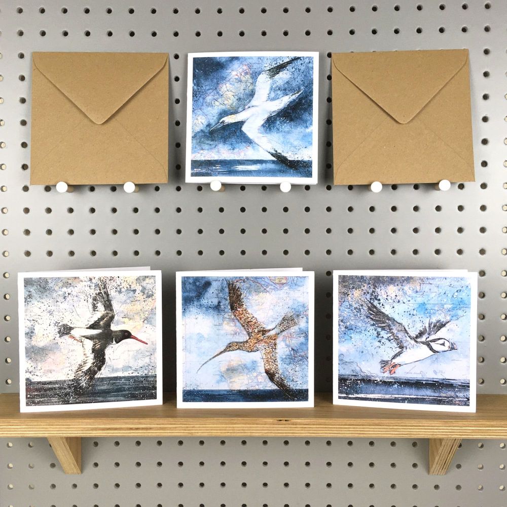 4 BIRD /MAP NOTE CARDS