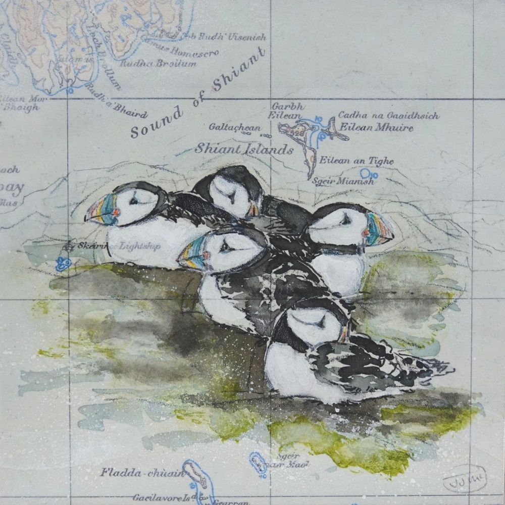 HUDDLE OF PUFFINS