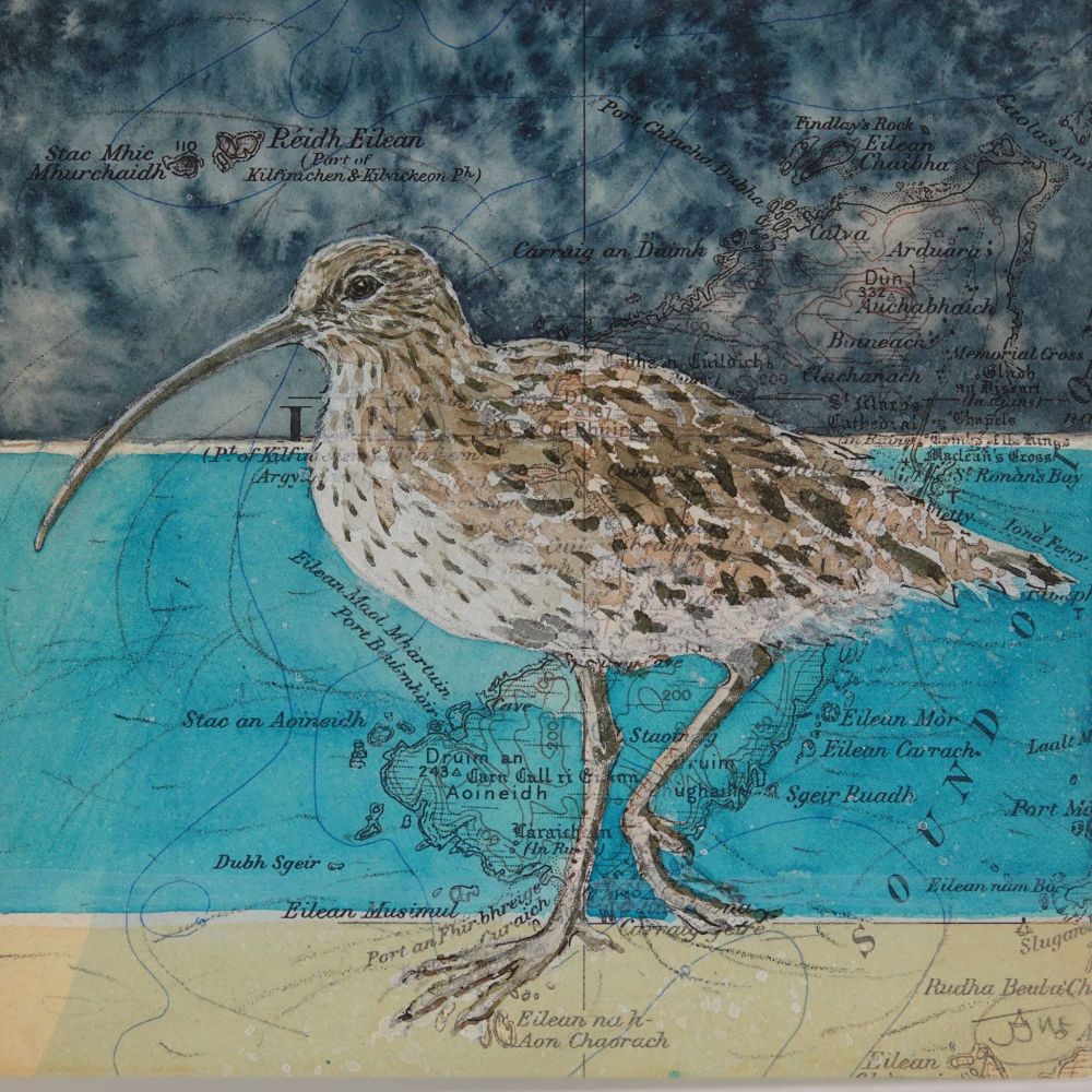 IONA CURLEW