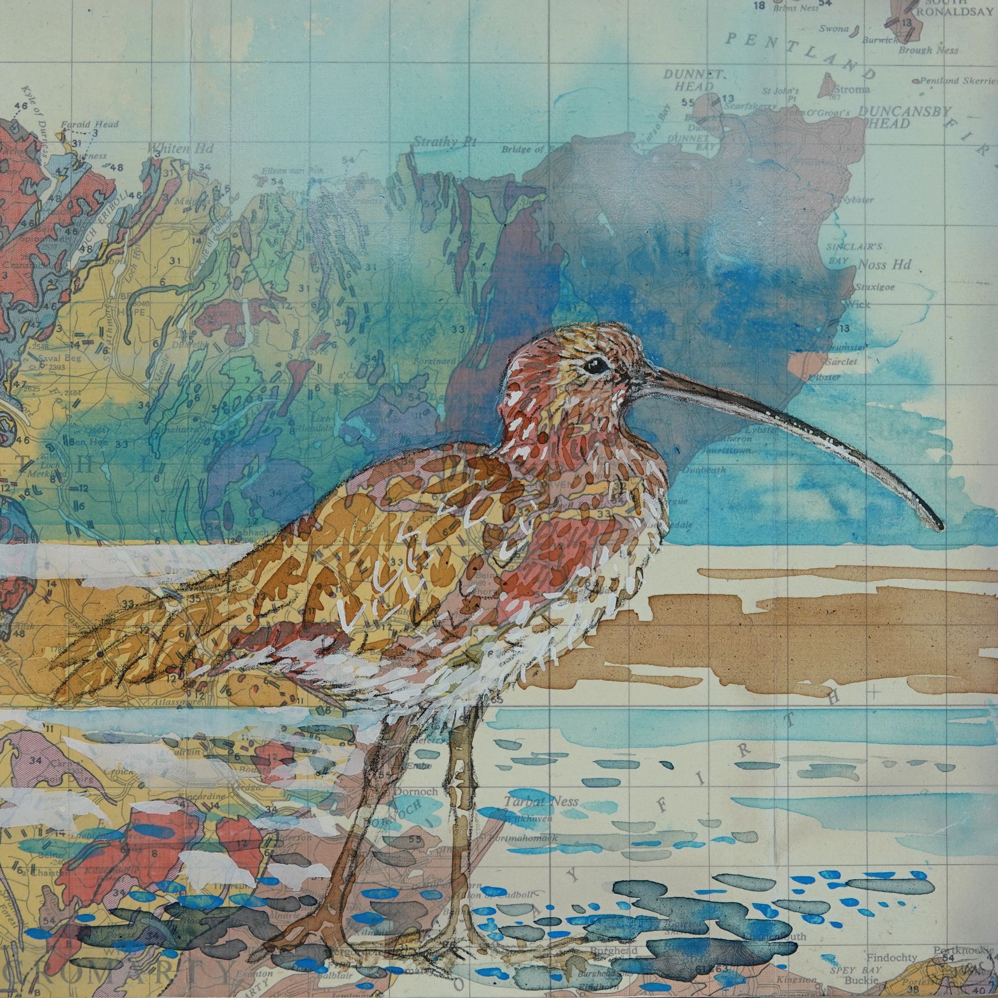 CURLEW SPRING acrylic ink, acry gouache graphite penci, coloured pencil on map, wood panel 20x20cm 2023 Â£285.JPG