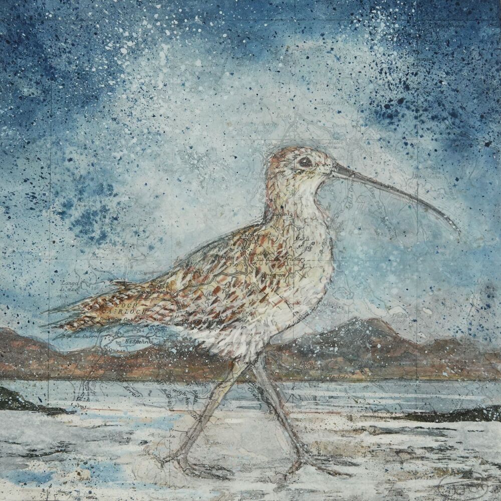 WEST COAST CURLEW