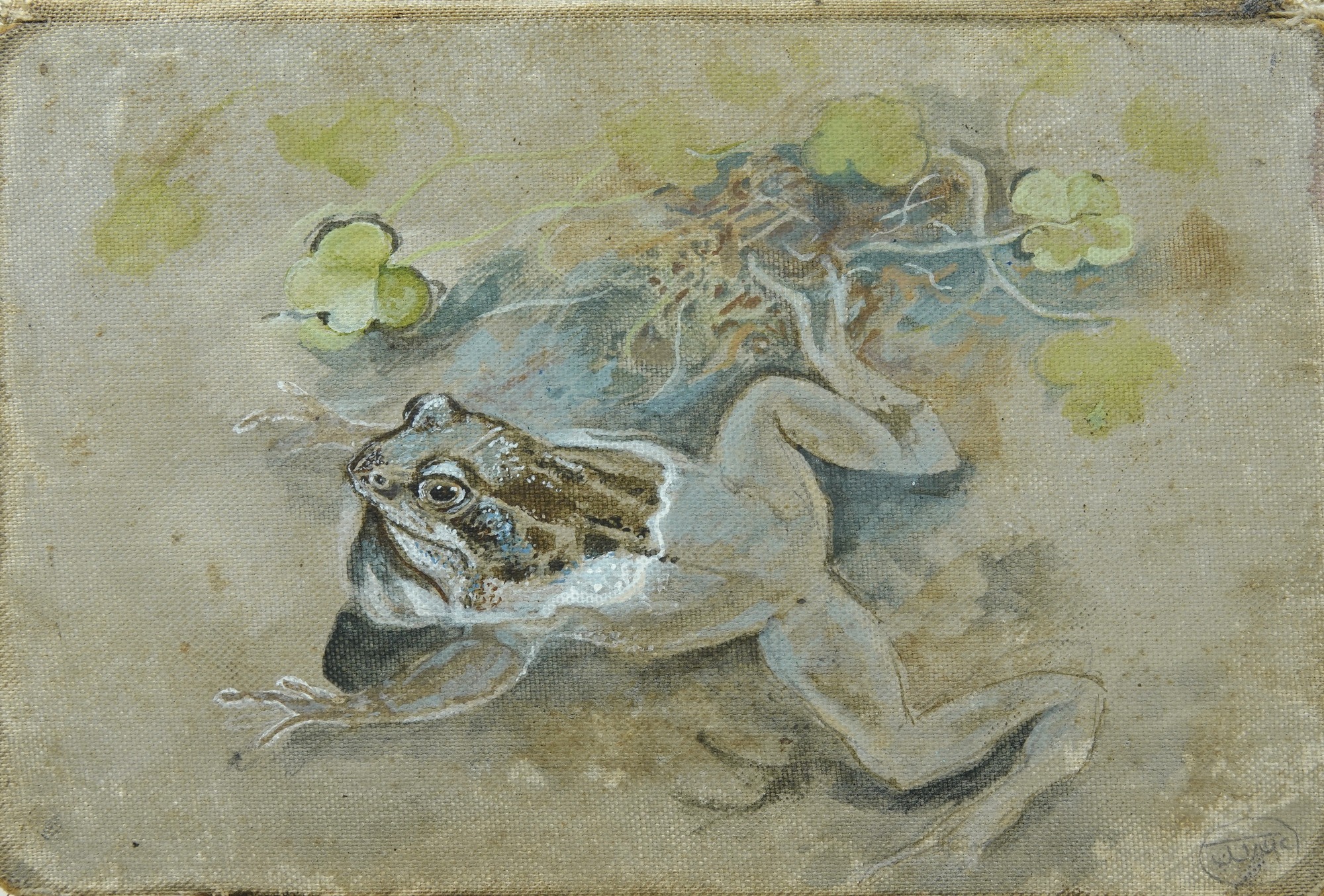 Frog in the pond 14x21cm.JPG