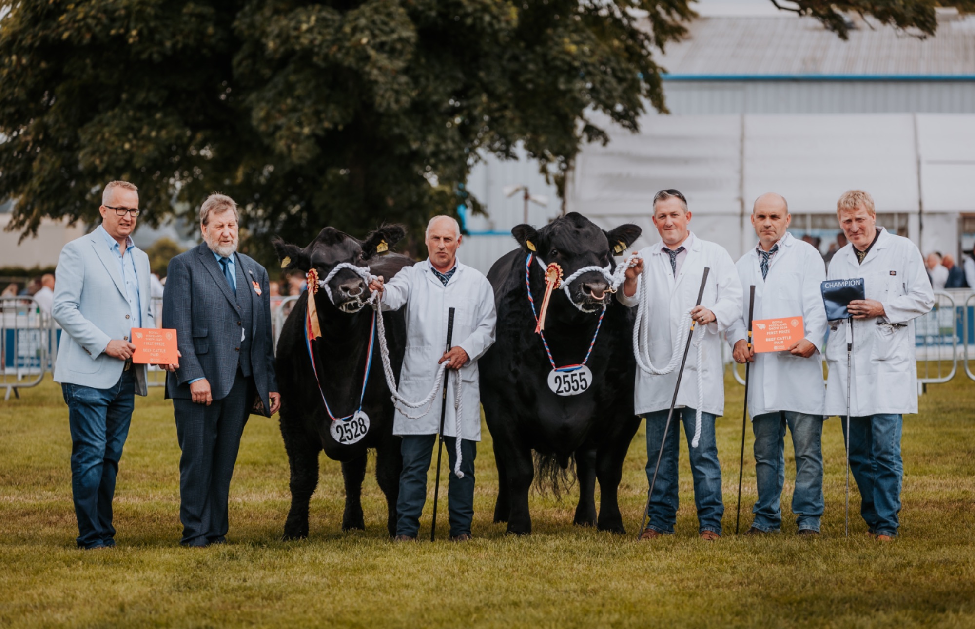 Highliand Show 2024-137