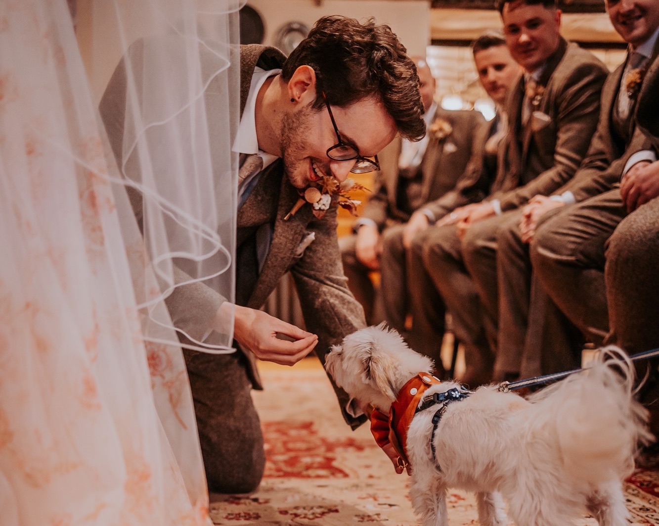 dog ring bearer