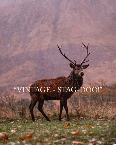 Vintage, Stag-Doo, Scotland Fine Art matted Print (10inch x 8inch print) (m