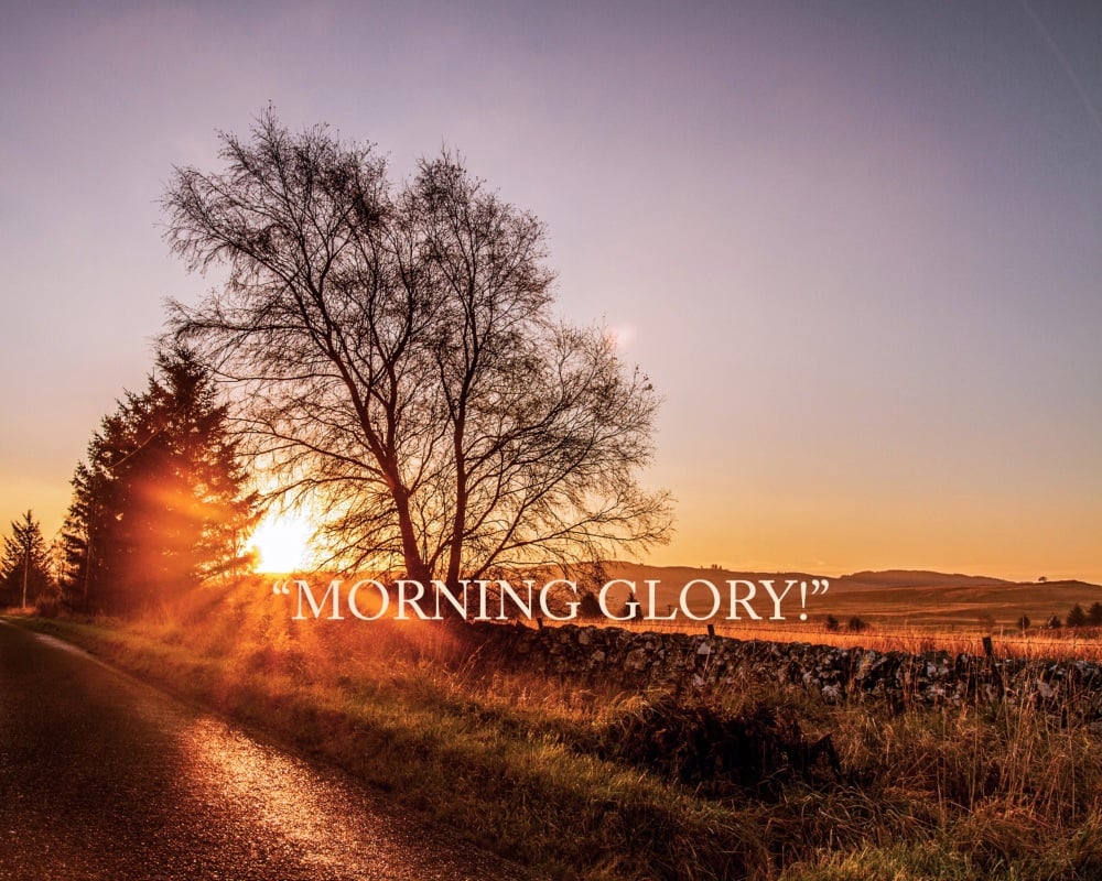 'Morning Glory' Fine Art matted Print (10inch x 8inch print) (mounted upto 12inch x 10inch)