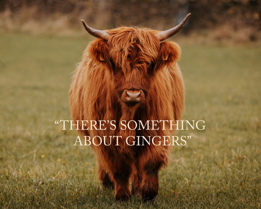 'There Is Something About Gingers...' Fine Art matted Print (10inch x 8inch print) (mounted upto 12inch x 10inch)