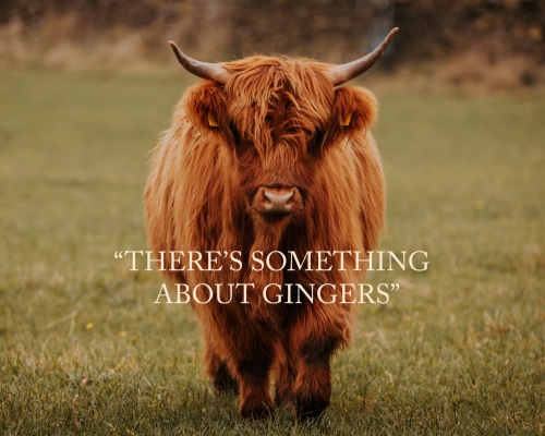 'There Is Something About Gingers...' Fine Art matted Print (10inch x 8inch