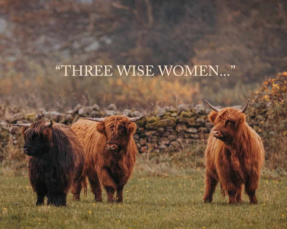 'Three Wise Women' Fine Art matted Print (10inch x 8inch print) (mounted upto 12inch x 10inch)