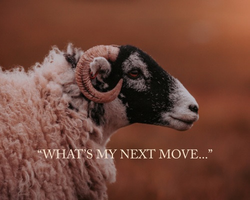 'What's My Next Move...' Fine Art matted Print (10inch x 8inch print) (moun