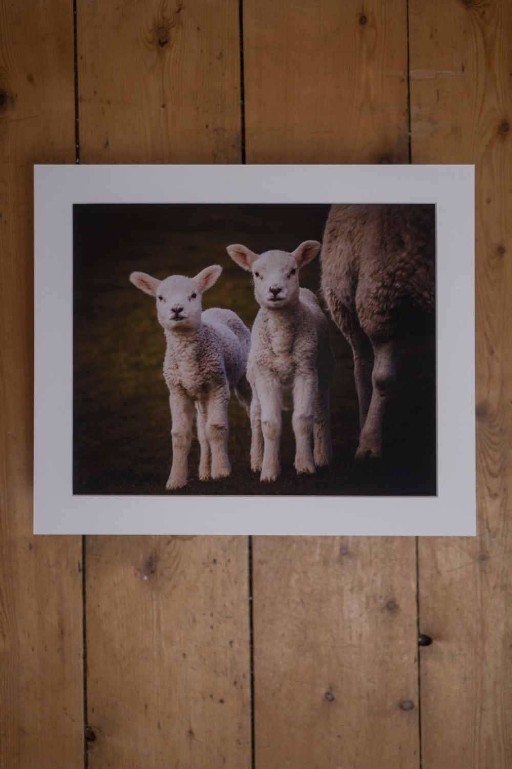 'More Than Two Is A Crowd' Fine Art matted Print (10inch x 8inch print) (mo