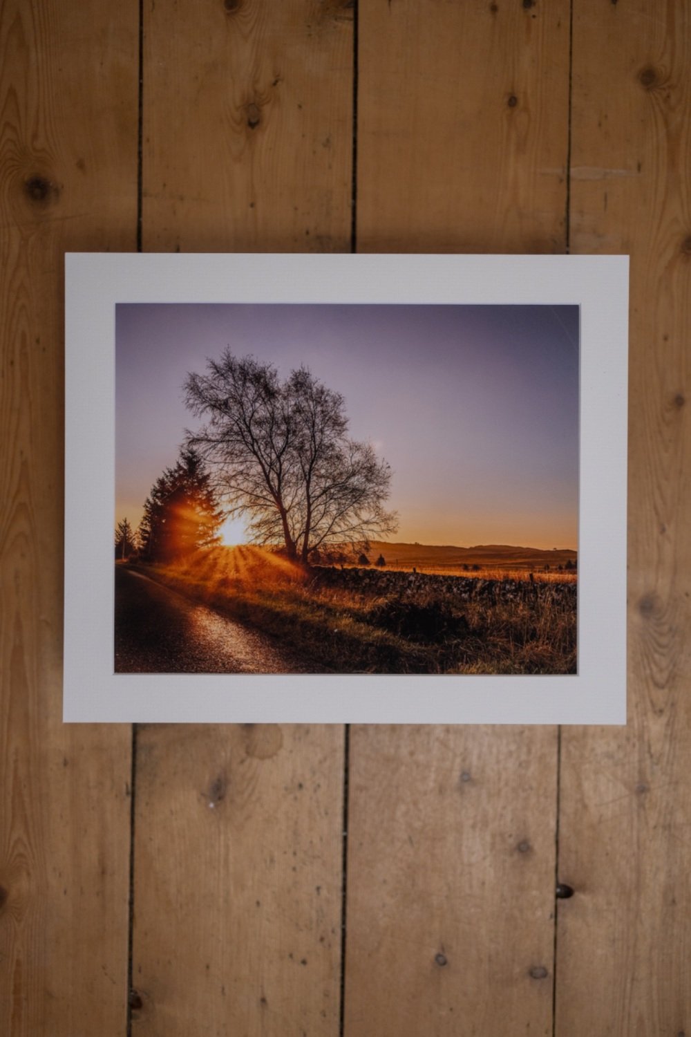 'Morning Glory' Fine Art matted Print (10inch x 8inch print) (mounted upto 