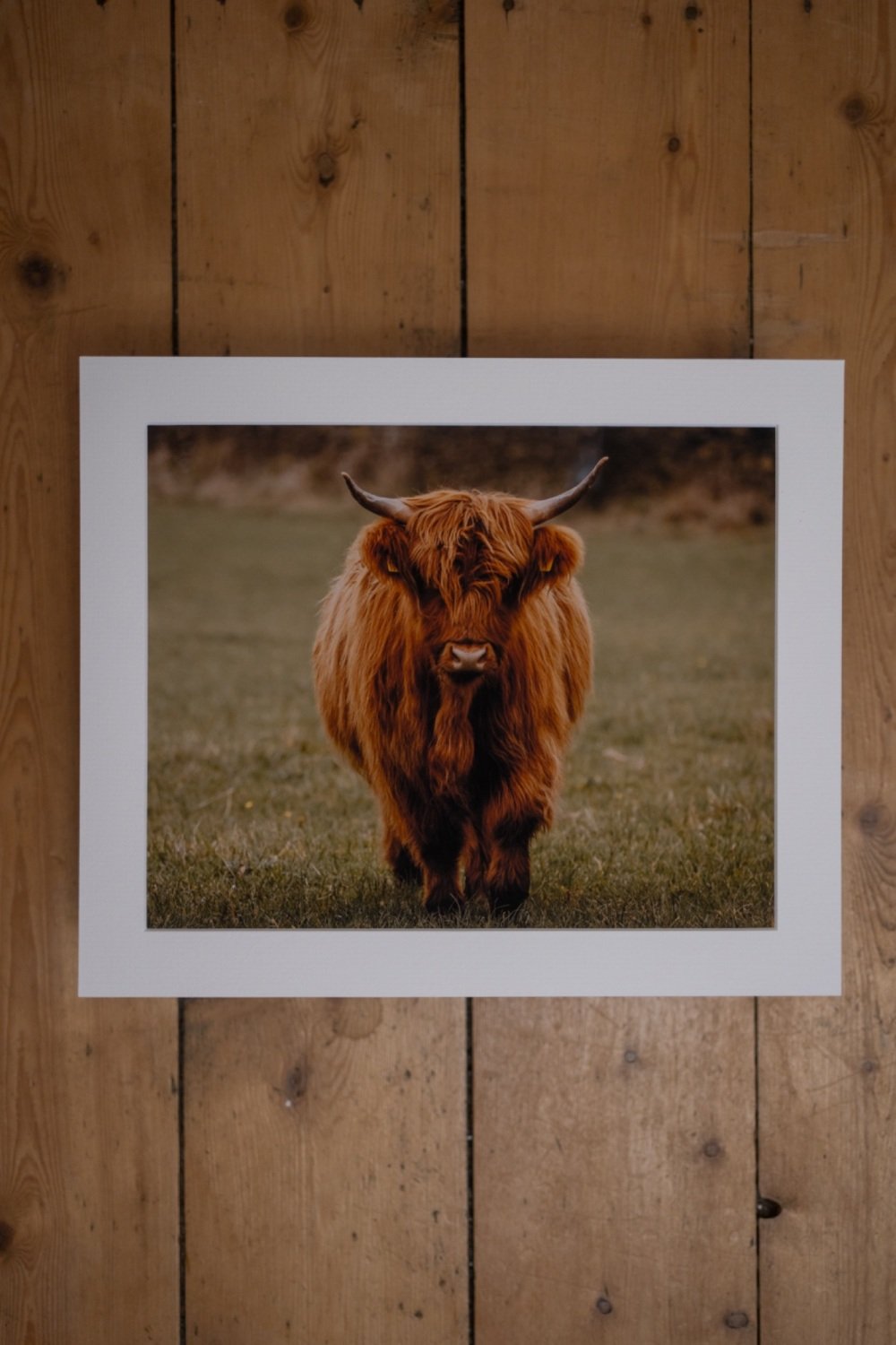 'There Is Something About Gingers...' Fine Art matted Print (10inch x 8inch