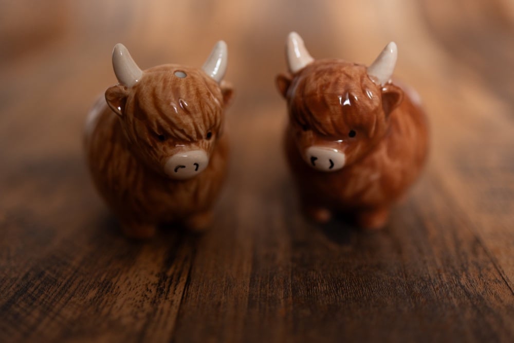 Highland Cow Salt and Pepper Shakers