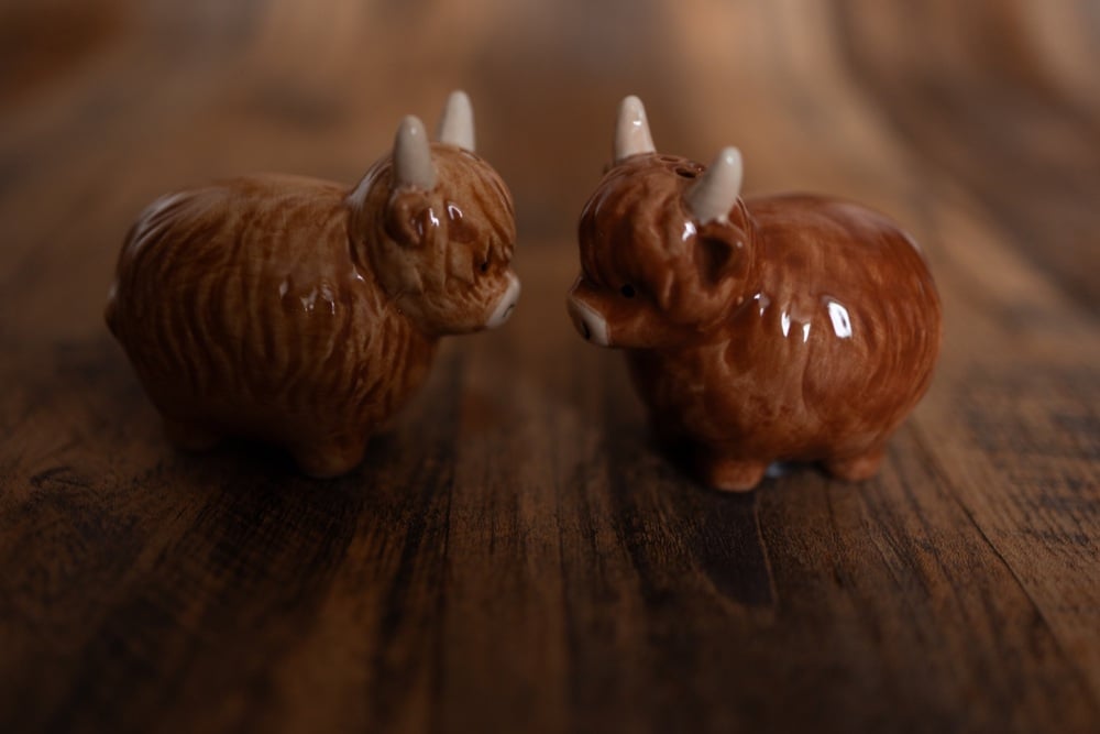 Highland Cow Salt and Pepper Shakers