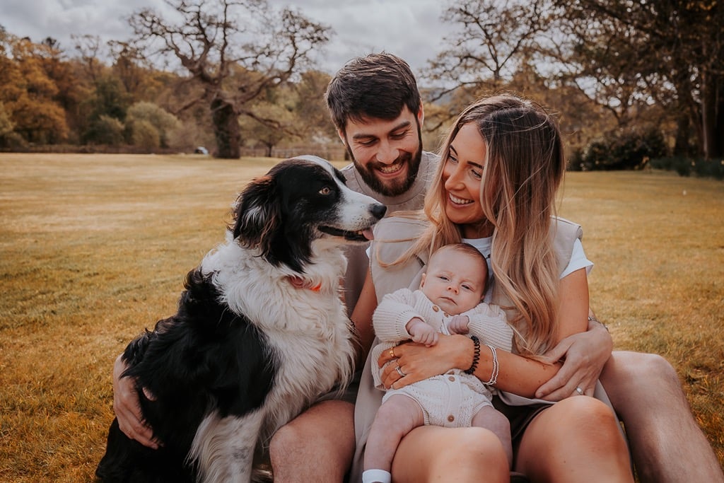 dog photographer