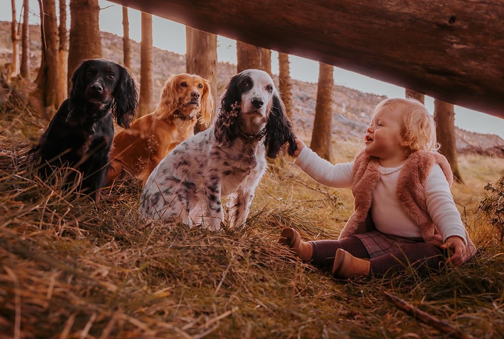 Working dog photographer