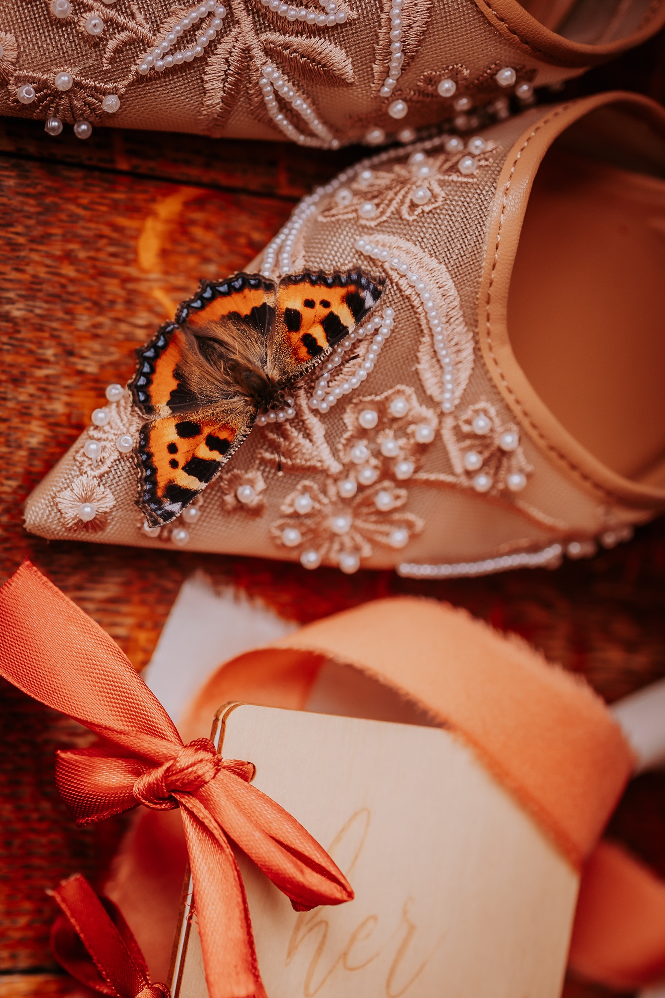 butterfly wedding guest visitor, Lancrigg, Grasmere