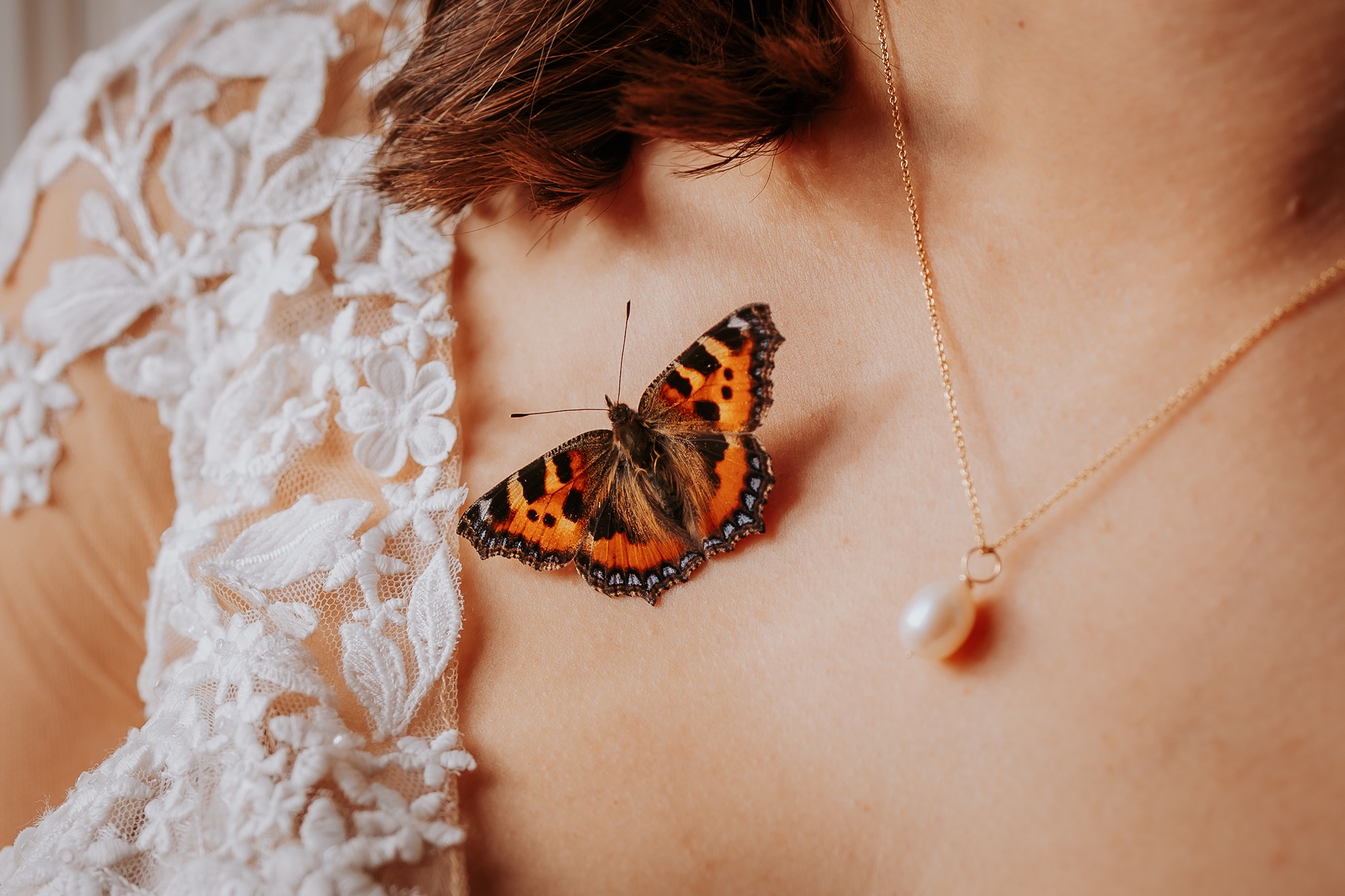 Butterfly resting on the brideâ€™s lace wedding dress during bridal prep at Lancrigg in the Lake District.