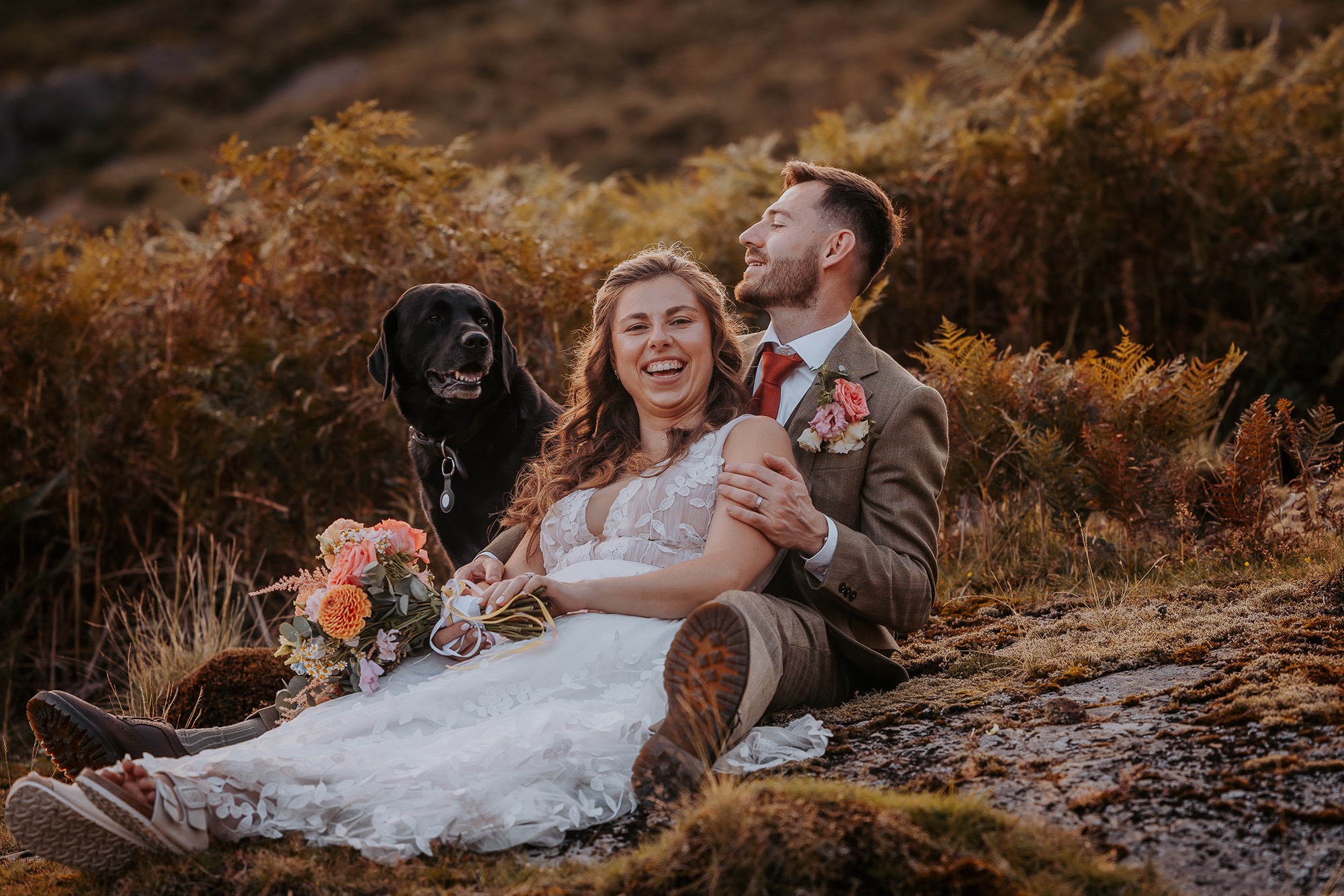 Labrador attends wedding in Coniston 
