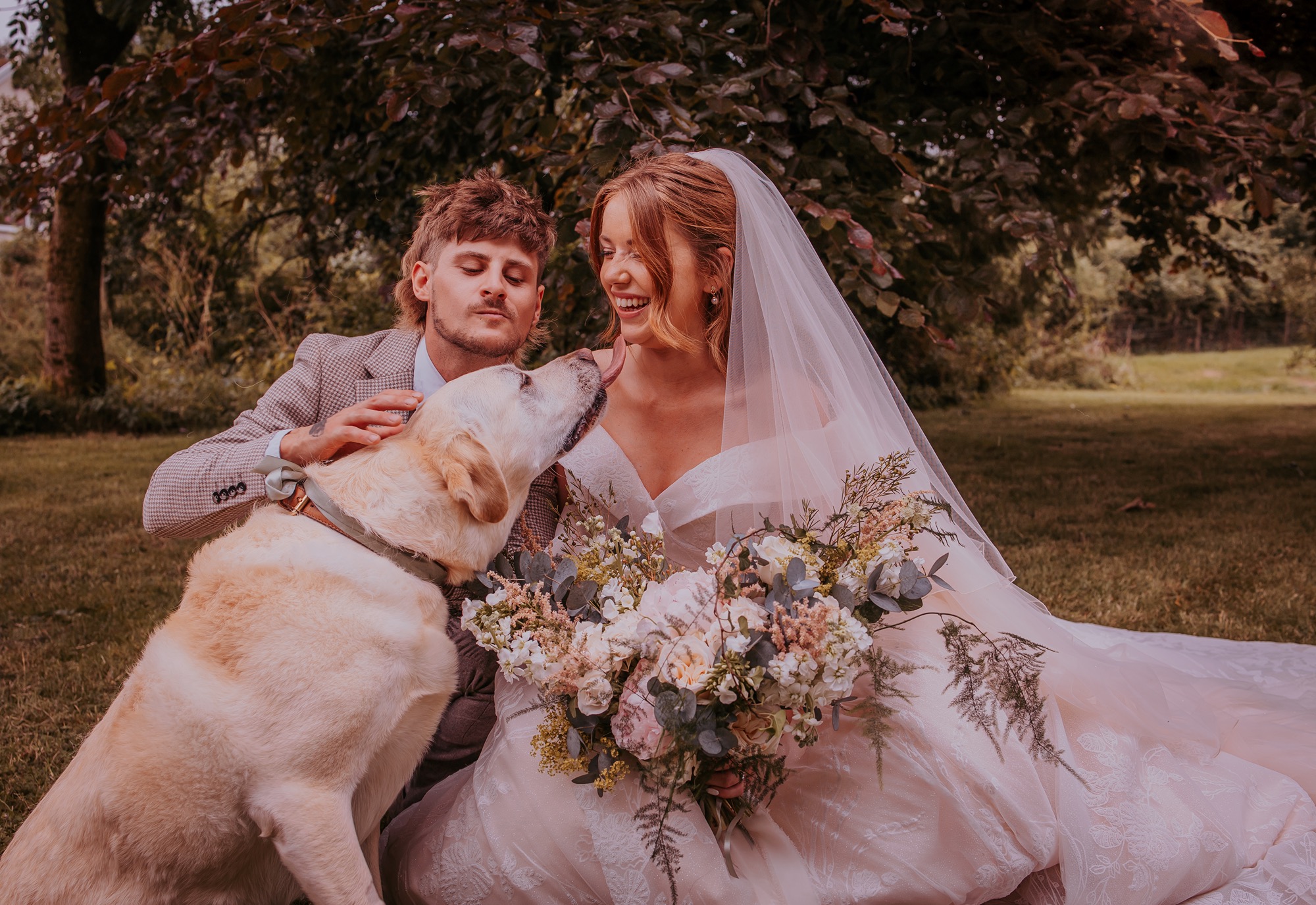 family dog tried to kiss bride on wedding day