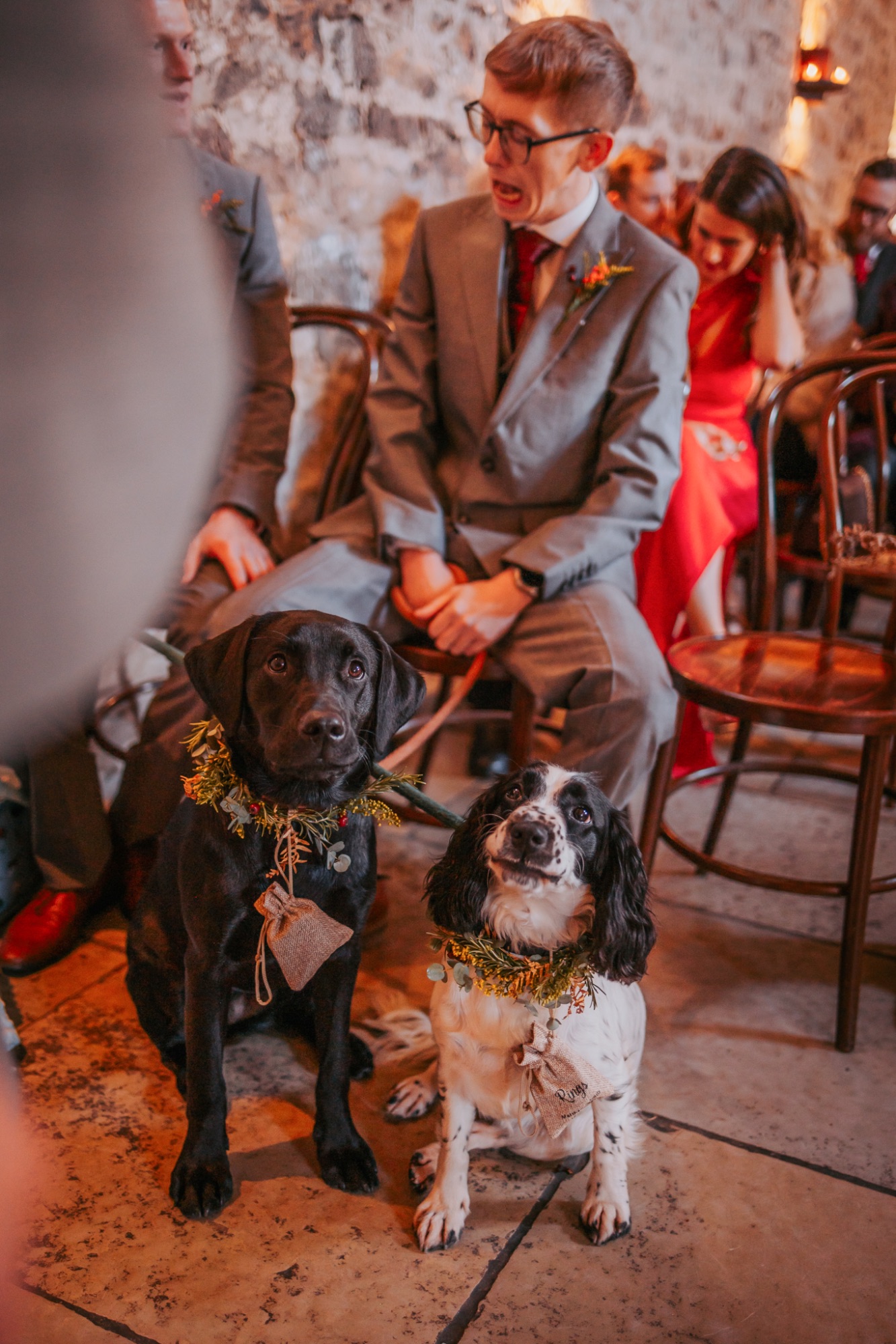 Two working dogs wait as the bride and groom say their vows, at Healey Barn, Yorkshire