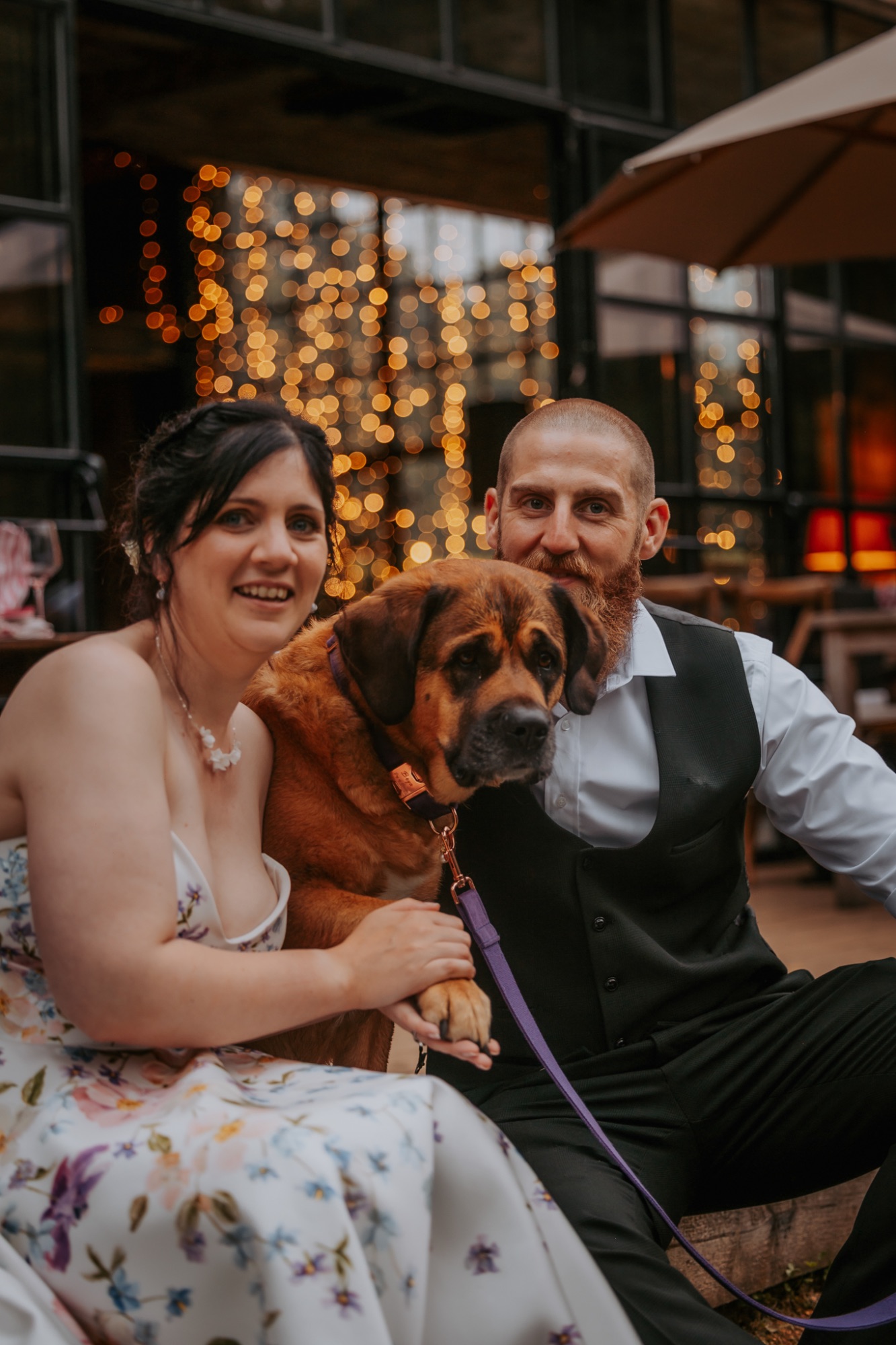 Hidden River barn wedding couple sit with their dog on the decking outside