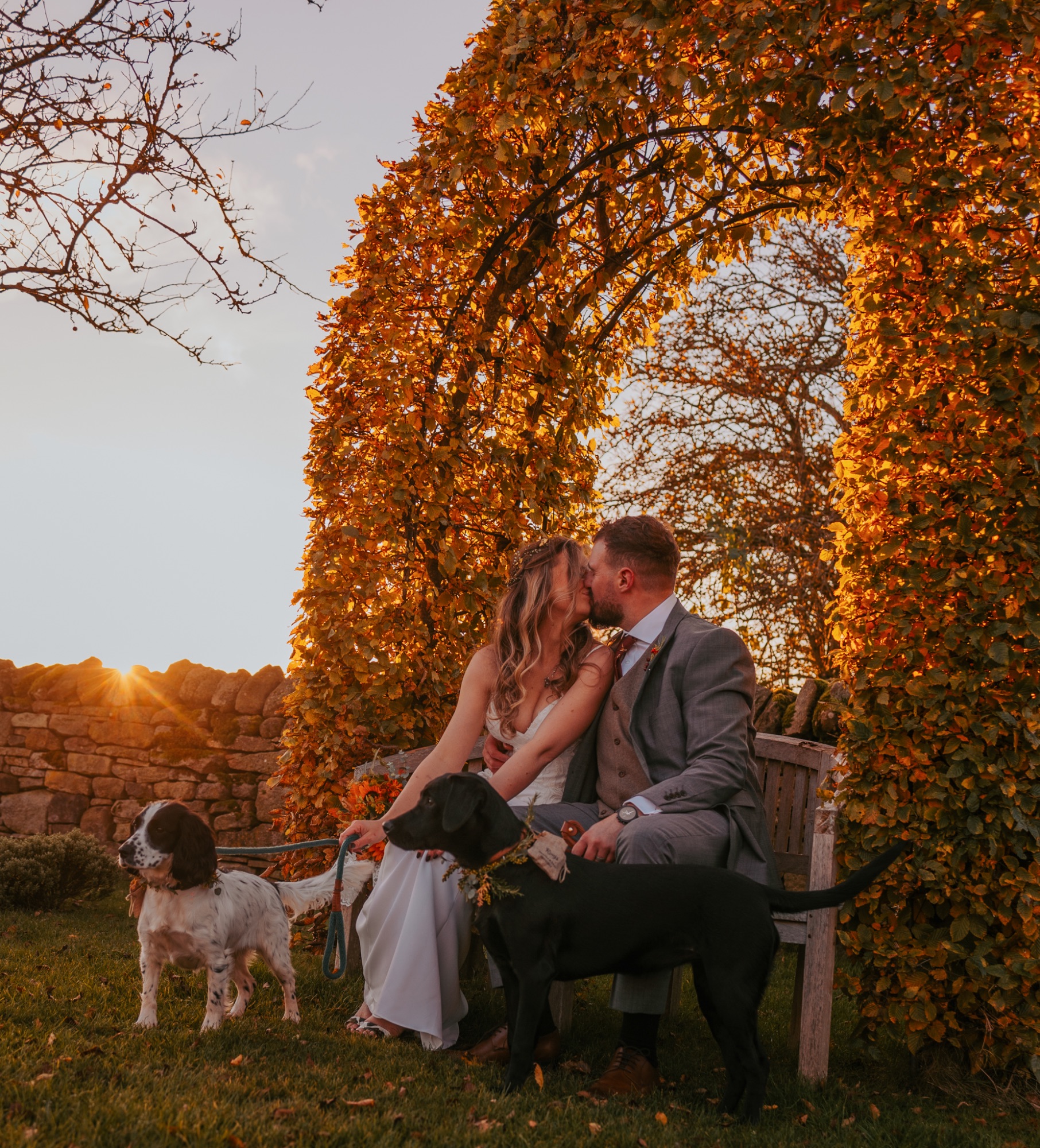 Bride and groom kiss at sunset with their dogs at Healey Barn, A dog friendly wedding venue