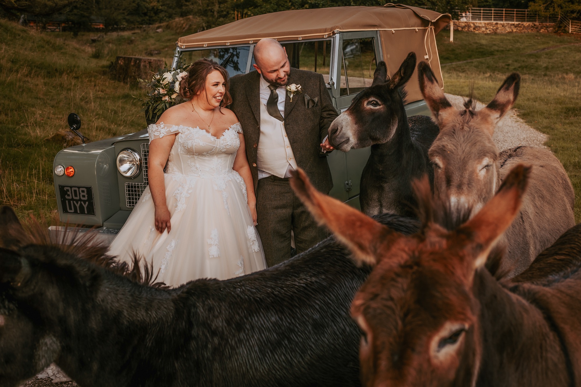 Bride and groom meet the donkey at Town Head Estate, Lake District wedding venue