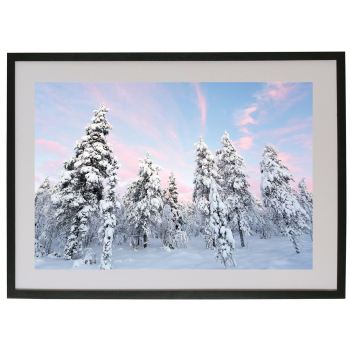 SNOWY PINES - FINNISH LAPLAND