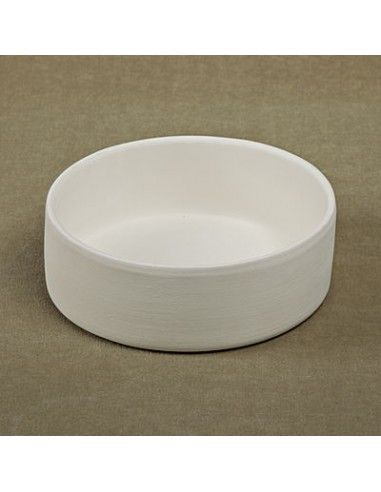 Medium dog bowl