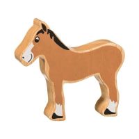 Horse (foal)