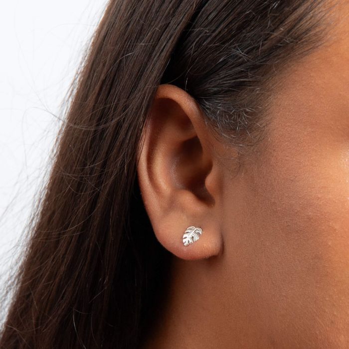 Monstera Leaf Stud Earrings in Sterling Silver