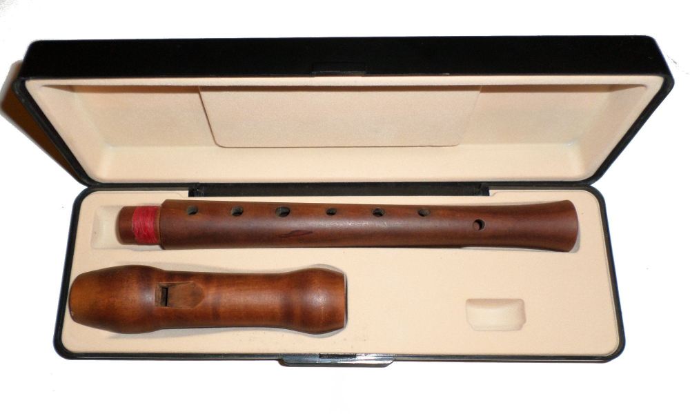 Recorder cases from Recorder Shop London